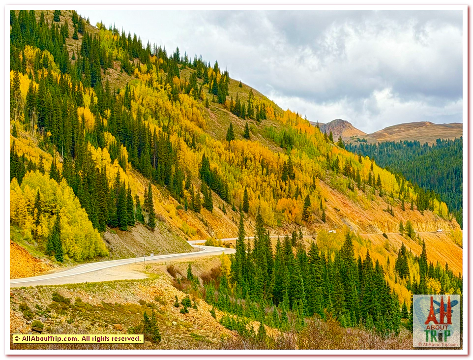 Aspen Gold