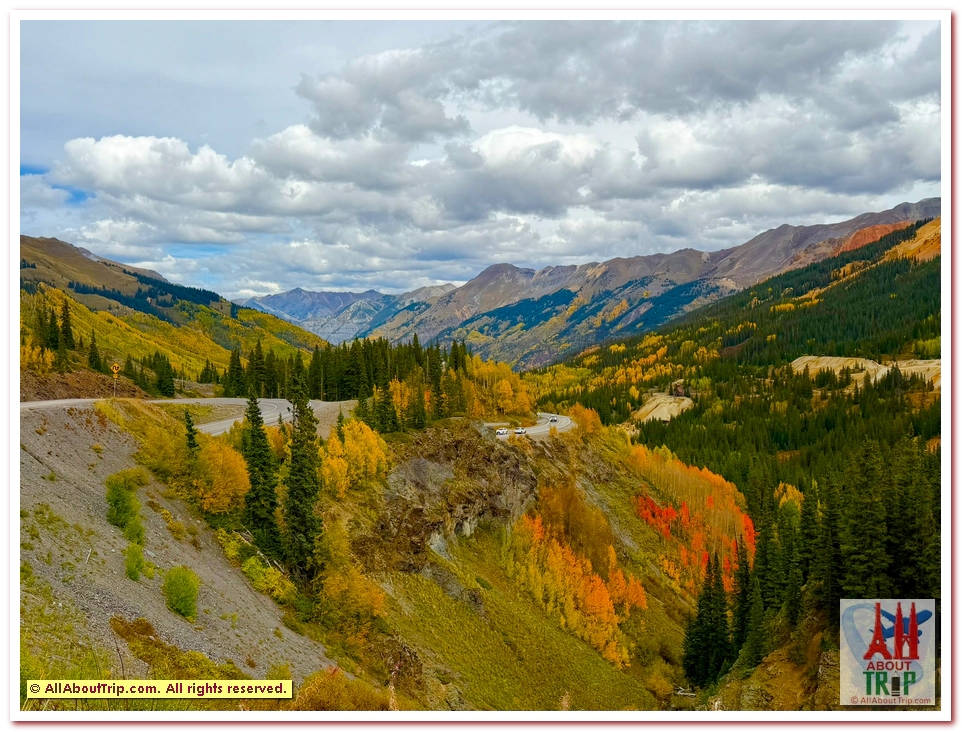 Aspen Gold