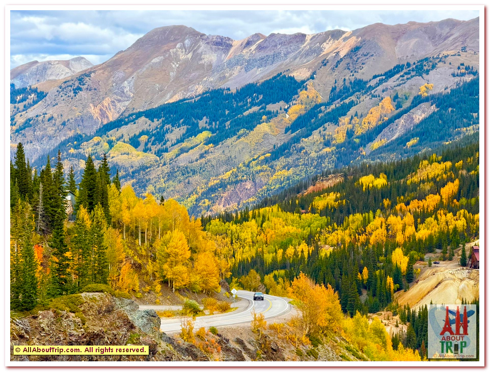 Aspen Gold