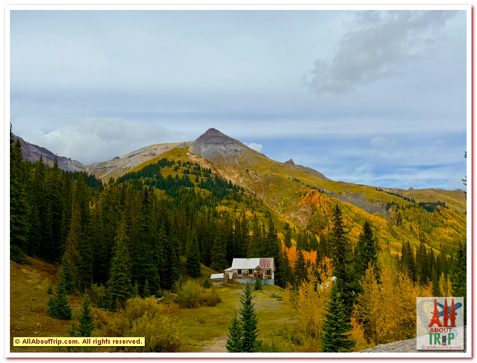 Aspen Gold