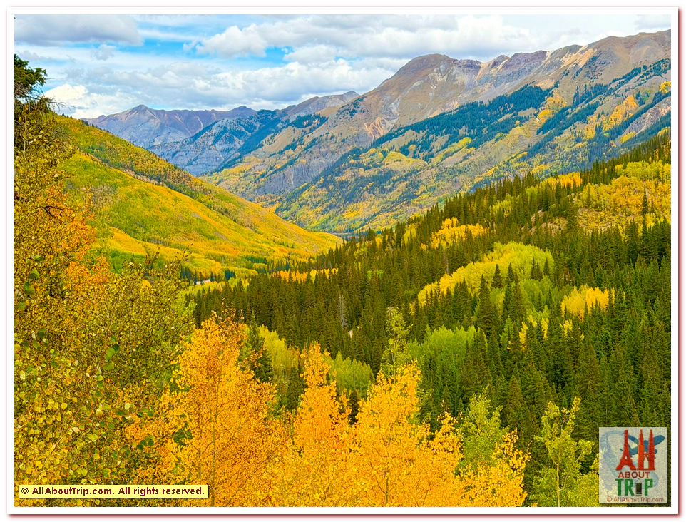 Aspen Gold