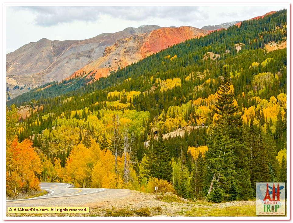 Aspen Gold