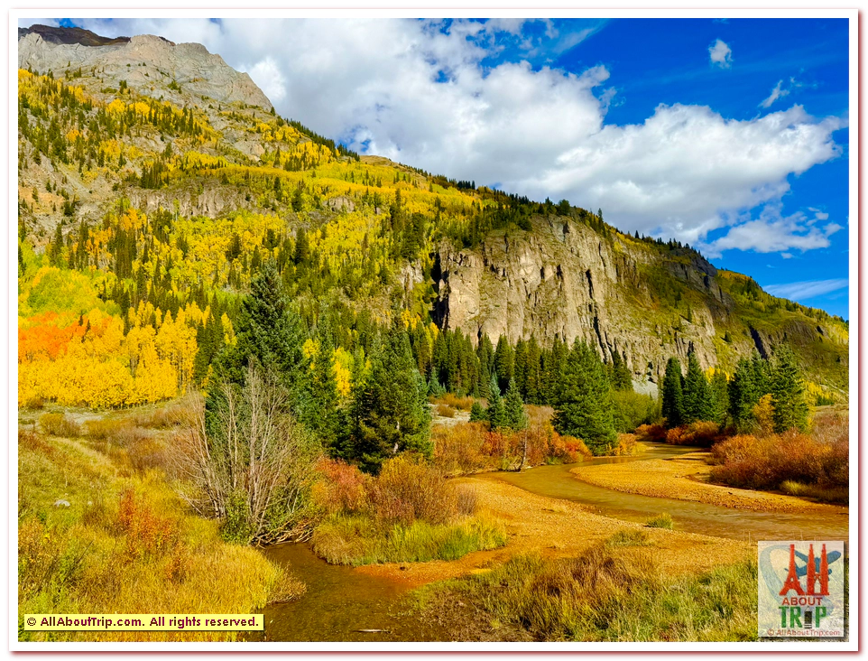 Aspen Gold