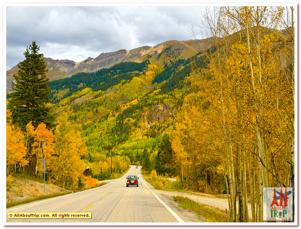 Aspen Gold