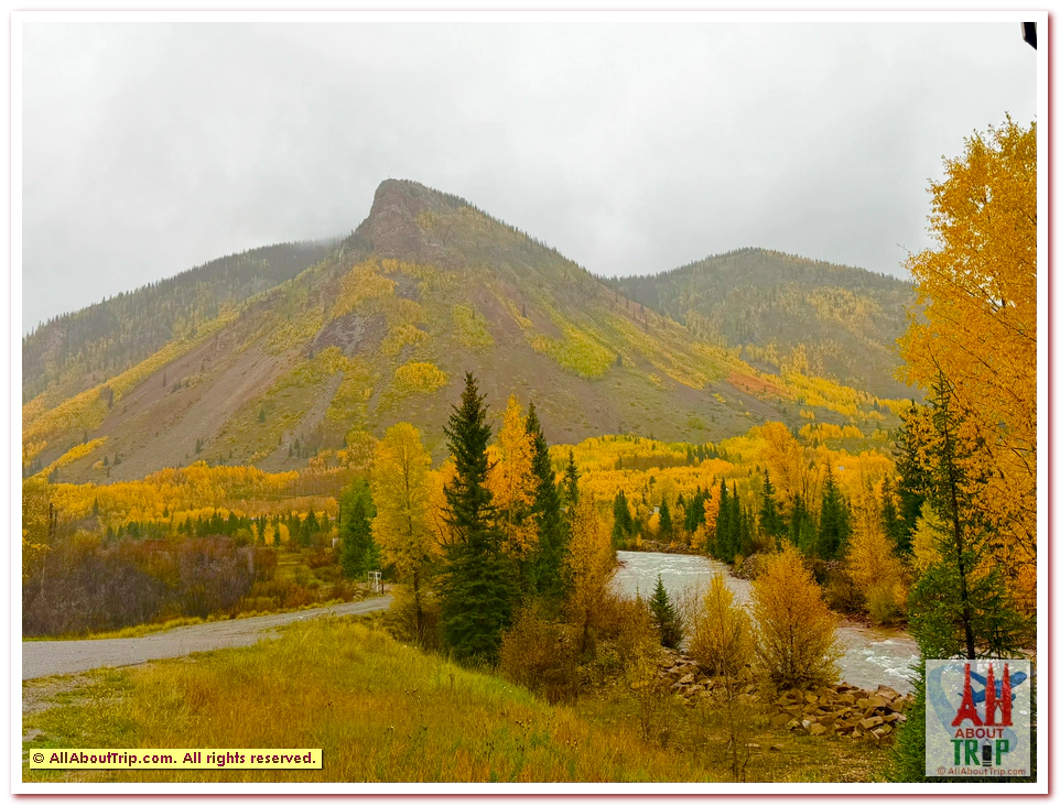 Aspen Gold