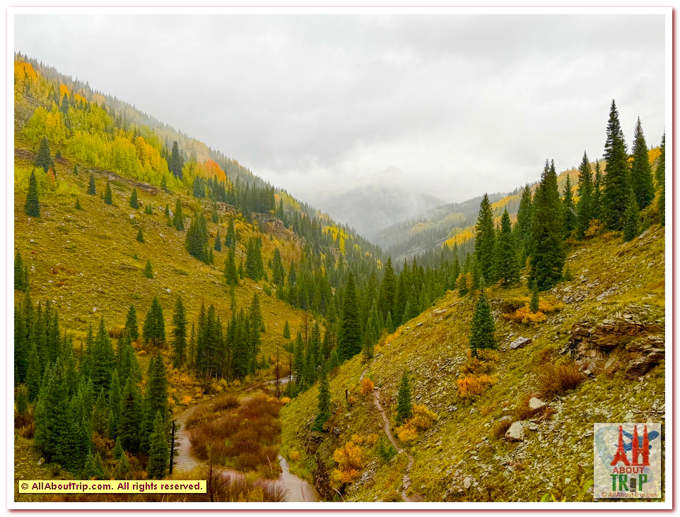 Aspen Gold