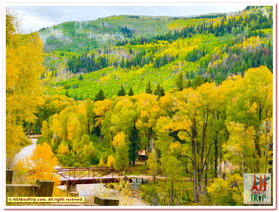 Aspen Gold