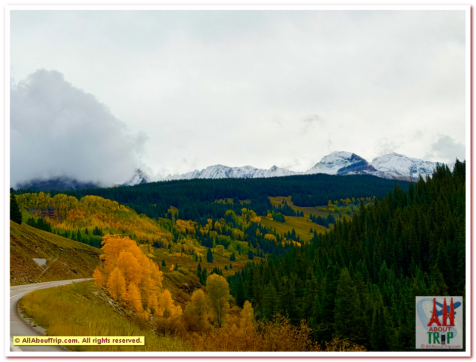 Aspen Gold