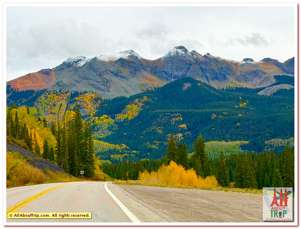 Aspen Gold