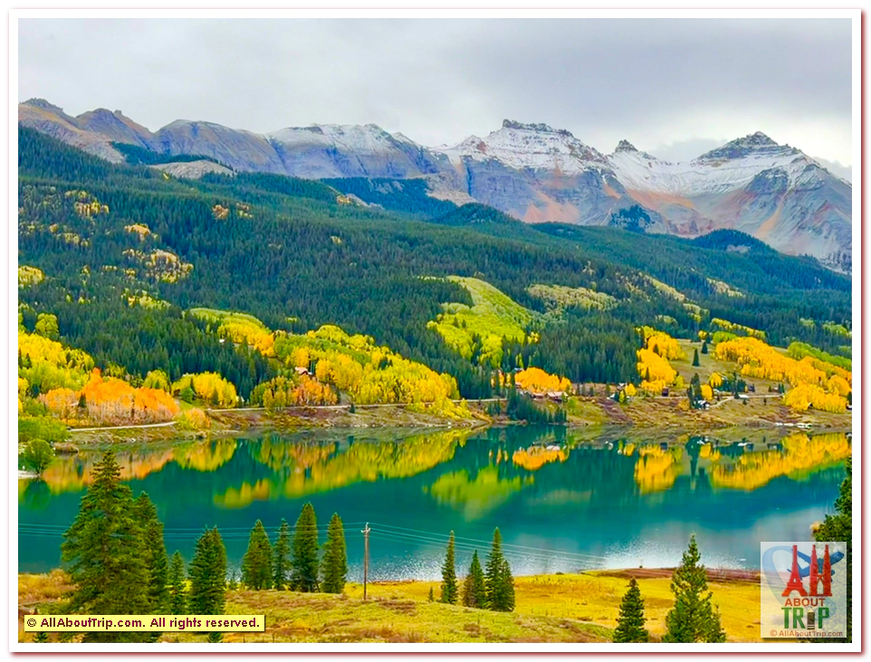 Aspen Gold