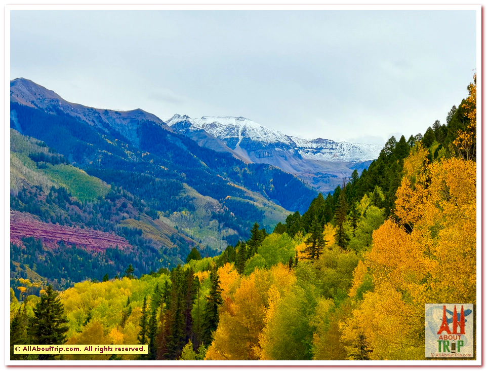Aspen Gold
