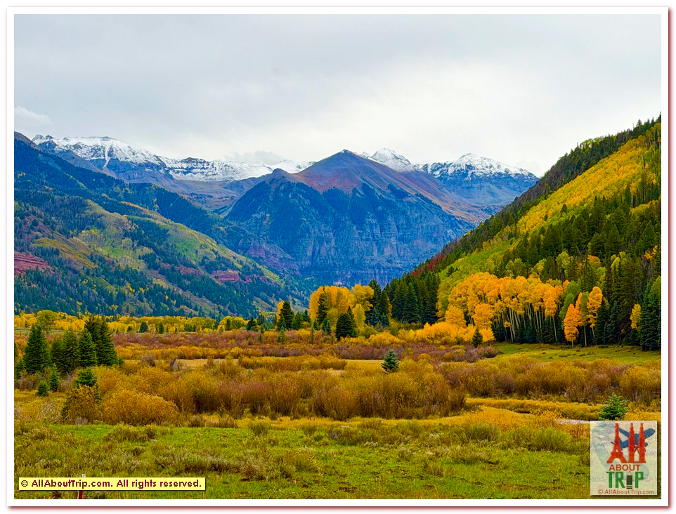 Aspen Gold