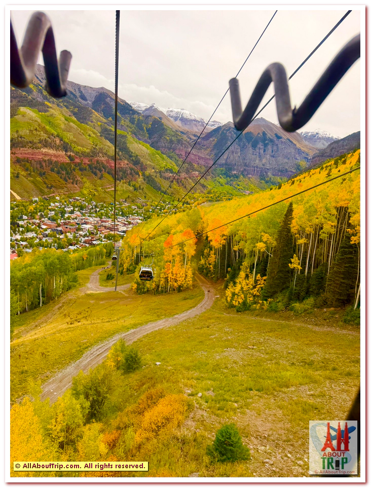 Aspen Gold