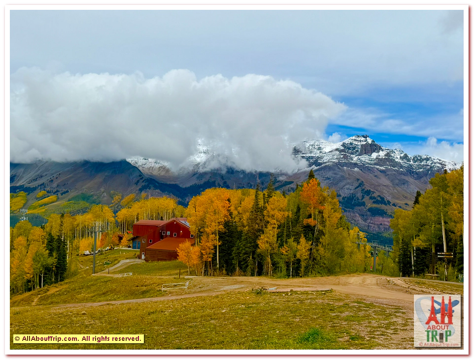 Aspen Gold