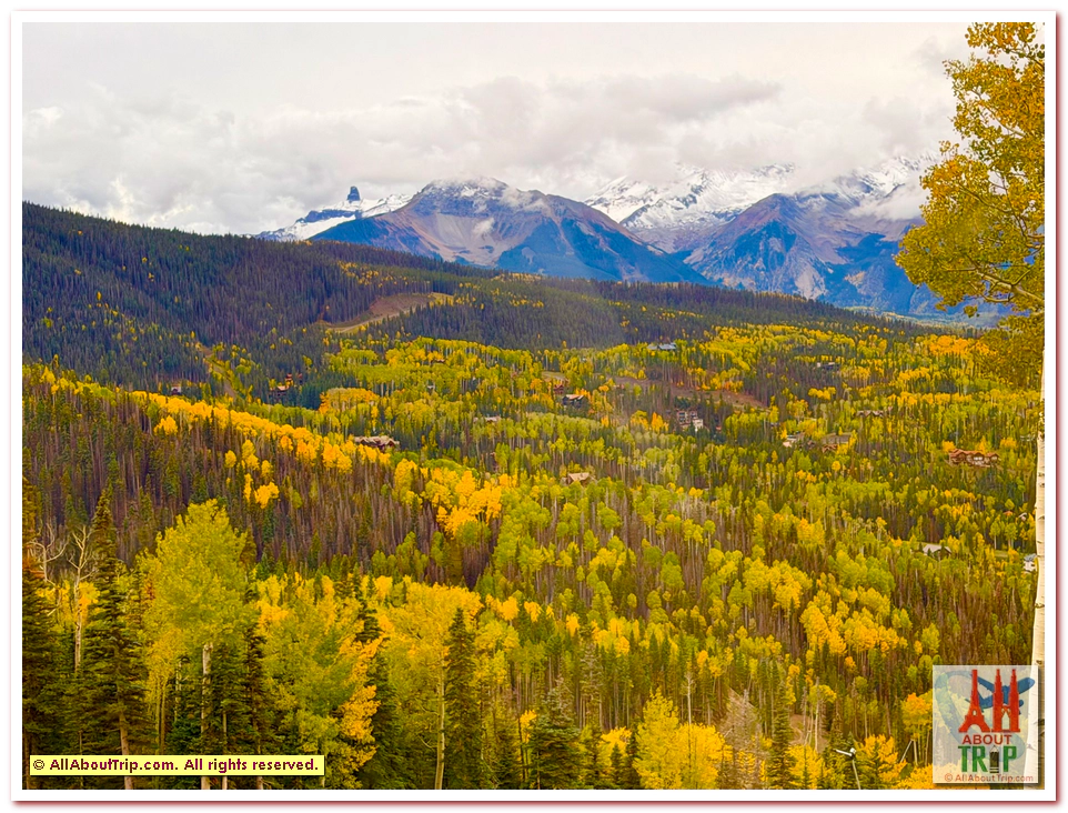Aspen Gold