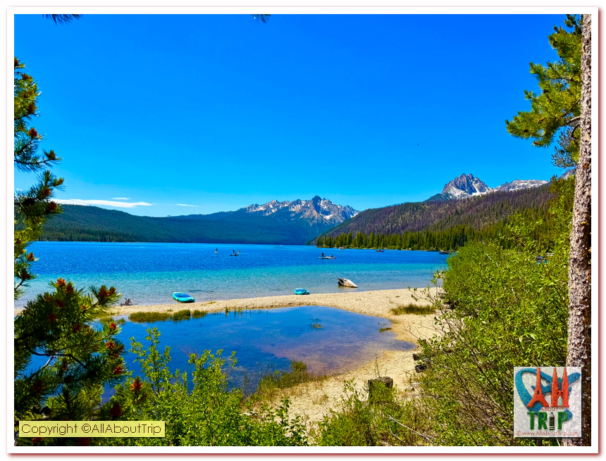 Winding pathways through the national park forest 40